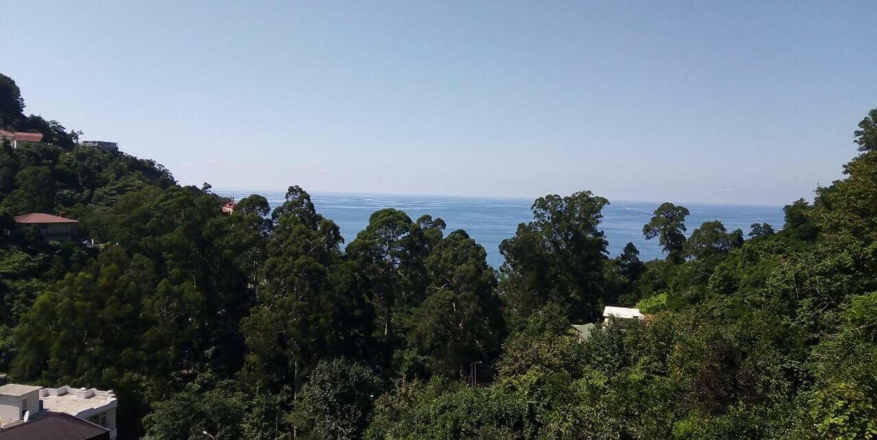 Hotel Giorgi Kvariati Extérieur photo